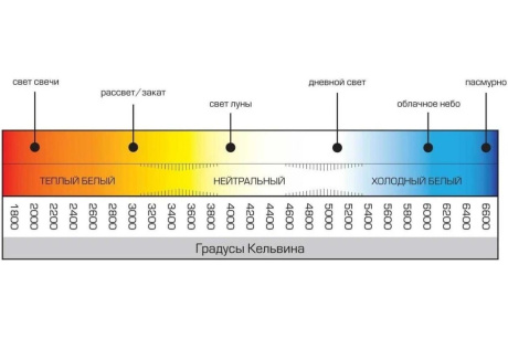 Купить Лампа св.диод. свеча 11Вт 230В Е14 6500К  IN HOME фото №3